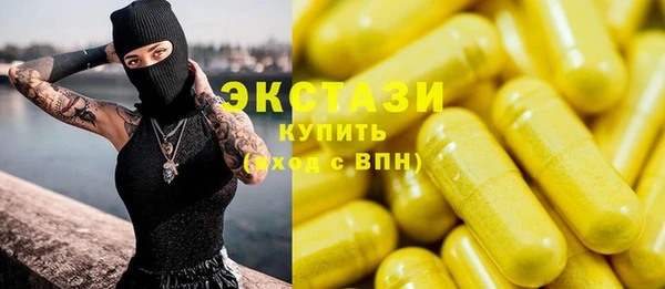 spice Богородицк
