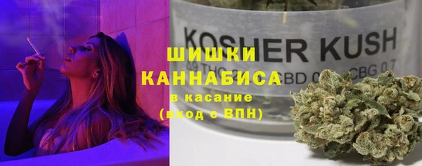 индика Сясьстрой