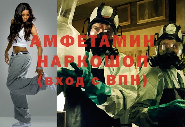 spice Богородицк