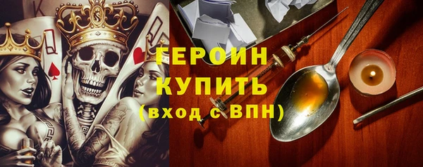 spice Богородицк