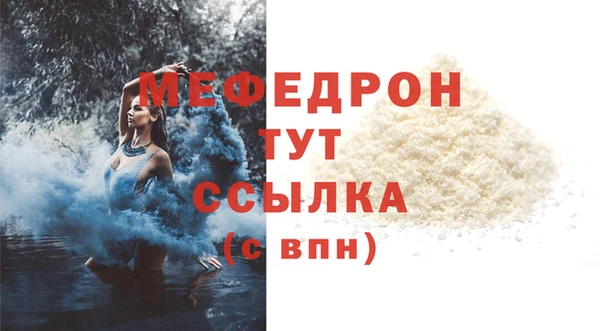 spice Богородицк