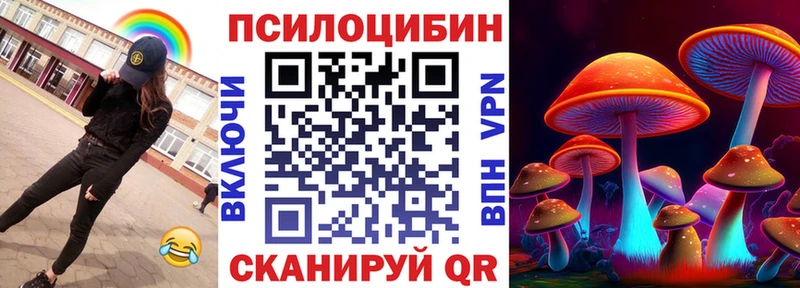 Галлюциногенные грибы Psilocybe  Кологрив 